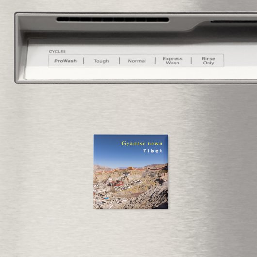 Uitzicht van Gyantse en het klooster van Palcho va Magneet (Insitu (Vaatwasser))