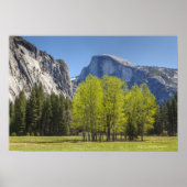 Uitzicht van Half Dome Poster (Voorkant)