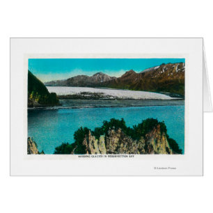 Uitzicht van Harding Glacier in Herurrection Bay