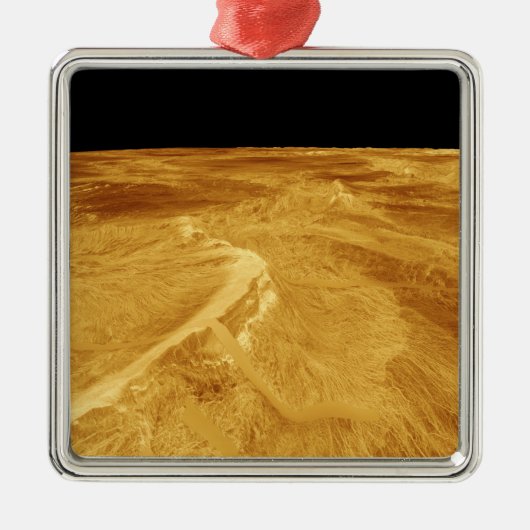 uitzicht van het 3D-perspectief van Latona Vorona Metalen Ornament (Voorkant)