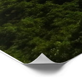 Uitzicht van het Appalachian Trail, Grayson Highla Poster (Hoek)