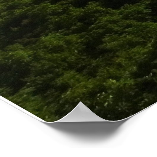 Uitzicht van het Appalachian Trail, Grayson Highla Poster (Hoek)