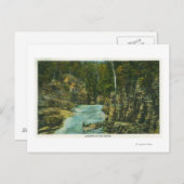 Uitzicht van het Bot Op de Rapids kijken Briefkaart (Voorkant / Achterkant)