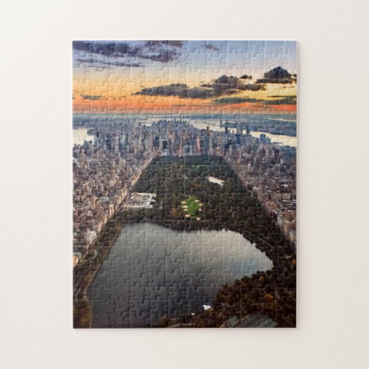 Uitzicht van het centrale park aan de lucht op Sun Legpuzzel (Verticaal)