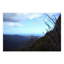 Uitzicht van het Coromandel Forest Park