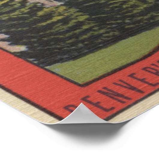 Uitzicht van het Denver Museum of Natural History Poster (Hoek)