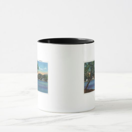 Uitzicht van het Eldridge Park Mok (Midden)