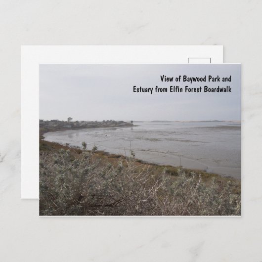 Uitzicht van het estuarium van Elfin Forest, Los O Briefkaart (Voorkant / Achterkant)