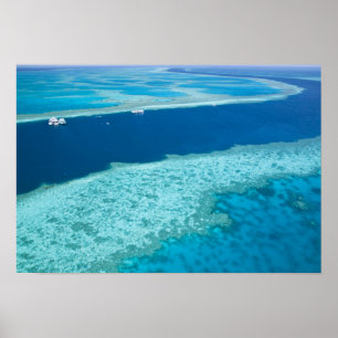 Uitzicht van het Great Barrier Reef door het Poster