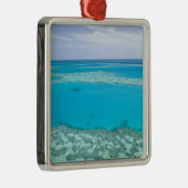 Uitzicht van het Great Barrier Reef door Metalen Ornament (Rechts)