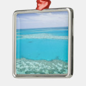 Uitzicht van het Great Barrier Reef door Metalen Ornament (Links)