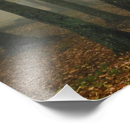 Uitzicht van het herfst van het bos, grootvader 3 foto afdruk (Hoek)