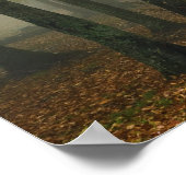 Uitzicht van het herfst van het bos, grootvader 3 poster (Hoek)