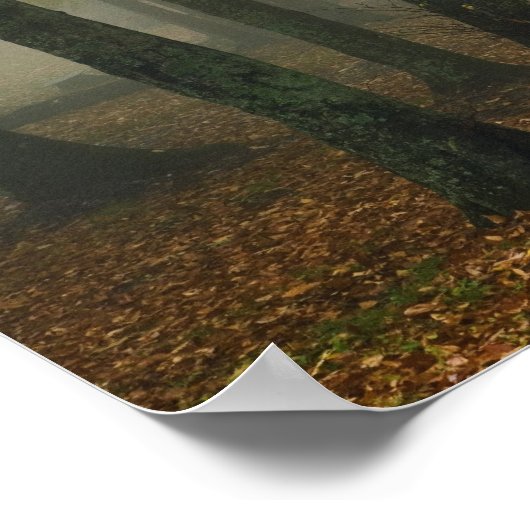 Uitzicht van het herfst van het bos, grootvader 3 poster (Hoek)