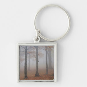 Uitzicht van het herfst van het bos, grootvader sleutelhanger