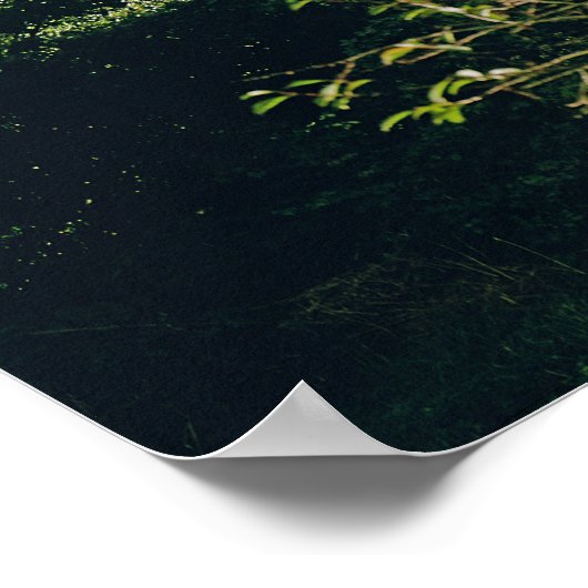 Uitzicht van het herstelde kasteel uit het noorden poster (Hoek)