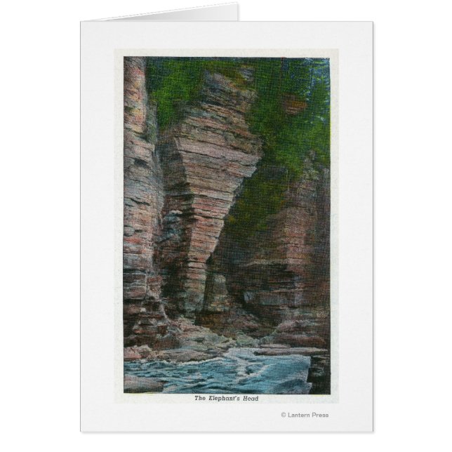 Uitzicht van het hoofd van de olifant (Voorkant)