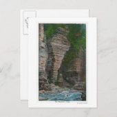 Uitzicht van het hoofd van de olifant briefkaart (Voorkant / Achterkant)