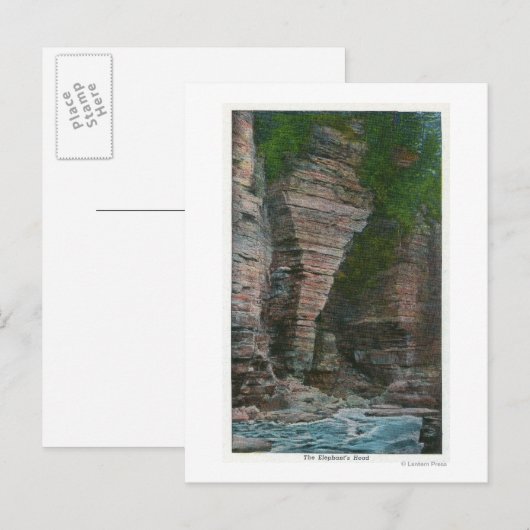 Uitzicht van het hoofd van de olifant briefkaart (Voorkant / Achterkant)