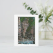 Uitzicht van het hoofd van de olifant briefkaart (Staand voorkant)