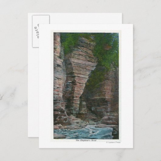 Uitzicht van het hoofd van de olifant briefkaart (Voorkant / Achterkant)