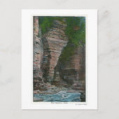 Uitzicht van het hoofd van de olifant briefkaart (Voorkant)