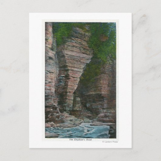 Uitzicht van het hoofd van de olifant briefkaart (Voorkant)