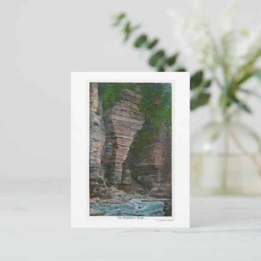 Uitzicht van het hoofd van de olifant briefkaart (Staand voorkant)