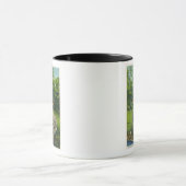 Uitzicht van het hoofdstadje Pilgrim Mok (Midden)