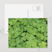 Uitzicht van het hout van Oxalis Oregana Sorrel Fo Briefkaart (Voorkant / Achterkant)