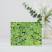Uitzicht van het hout van Oxalis Oregana Sorrel Fo Briefkaart (Staand voorkant)