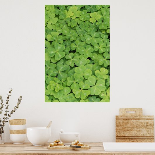 Uitzicht van het hout van Oxalis Oregana Sorrel Fo Poster (Keuken)