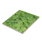 Uitzicht van het hout van Oxalis Oregana Sorrel Fo Tegeltje (Zijkant)