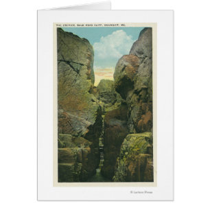 Uitzicht van het Knipsel van de Bald