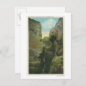 Uitzicht van het Knipsel van de Bald Briefkaart (Voorkant / Achterkant)