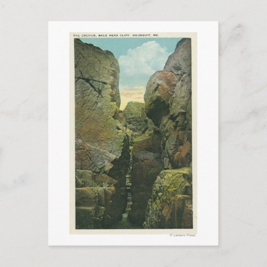 Uitzicht van het Knipsel van de Bald Briefkaart (Voorkant)