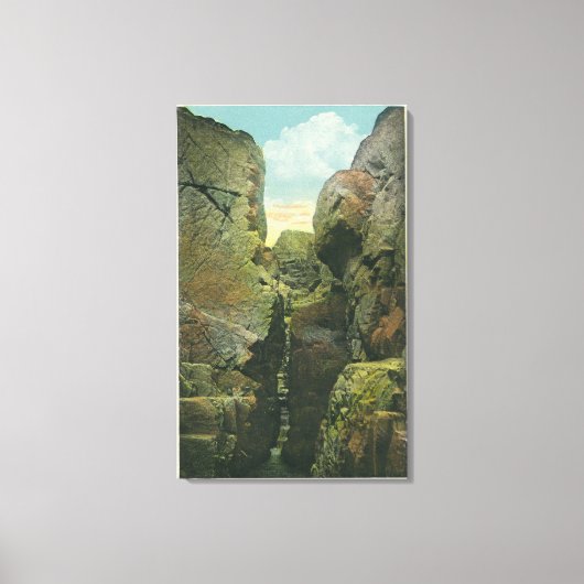 Uitzicht van het Knipsel van de Bald Canvas Afdruk (Voorkant)