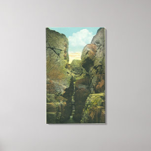 Uitzicht van het Knipsel van de Bald Canvas Afdruk