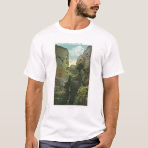 Uitzicht van het Knipsel van de Bald T-shirt