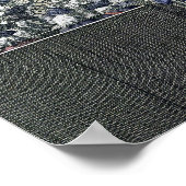 Uitzicht van het Lagerhuis, gegraveerd door B. Col Poster (Hoek)