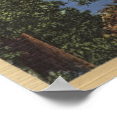 Uitzicht van het meer Beauful Shasta Poster (Hoek)