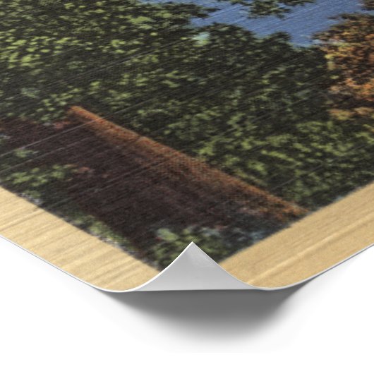 Uitzicht van het meer Beauful Shasta Poster (Hoek)