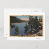 Uitzicht van het meer door de pijnbomen briefkaart (Voorkant / Achterkant)