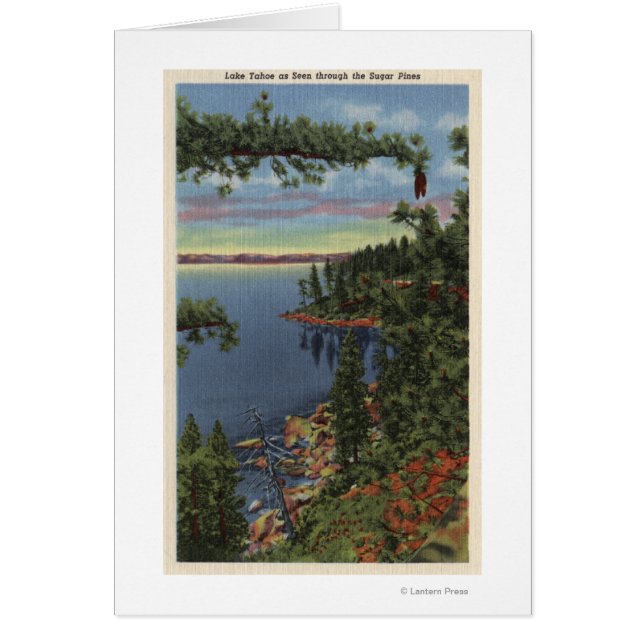 Uitzicht van het meer door suikerpijnbomen (Voorkant)