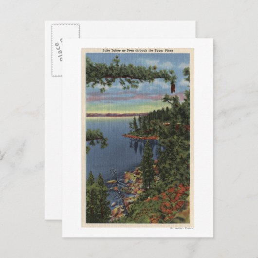 Uitzicht van het meer door suikerpijnbomen briefkaart (Voorkant / Achterkant)