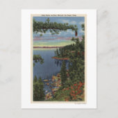 Uitzicht van het meer door suikerpijnbomen briefkaart (Voorkant)