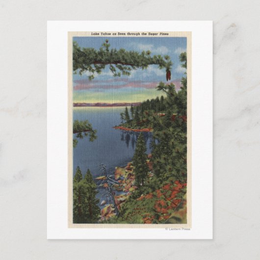 Uitzicht van het meer door suikerpijnbomen briefkaart (Voorkant)