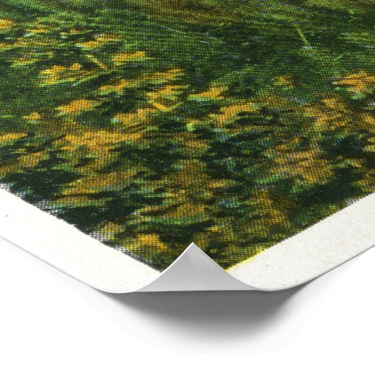 Uitzicht van het meer poster (Hoek)