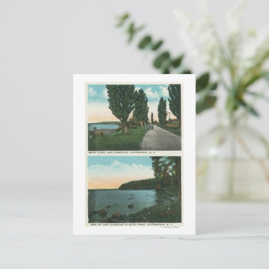 Uitzicht van het meer van ChamPlaarddrive Briefkaart (Staand voorkant)