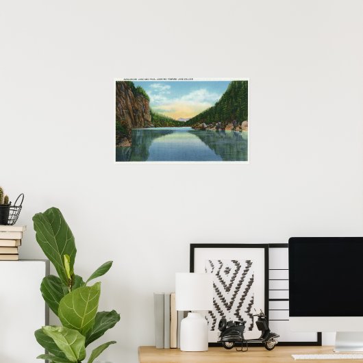 Uitzicht van het meer van Colden van het meer van Poster (Thuiskantoor)